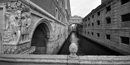 Venezia. Ponte dei Sospiri